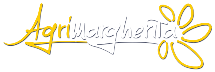 Dove star bene è vivere